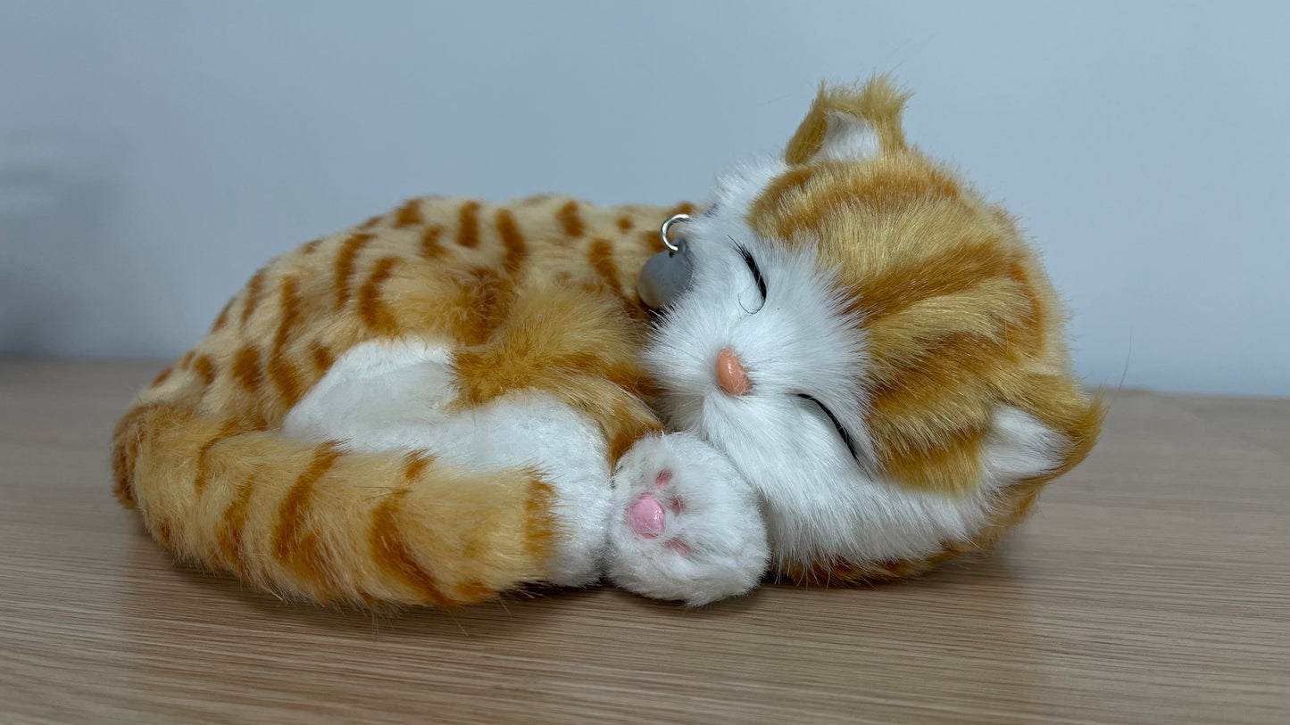 Precious Petzzz - Ginger Tabby Cat - Eden Mobility