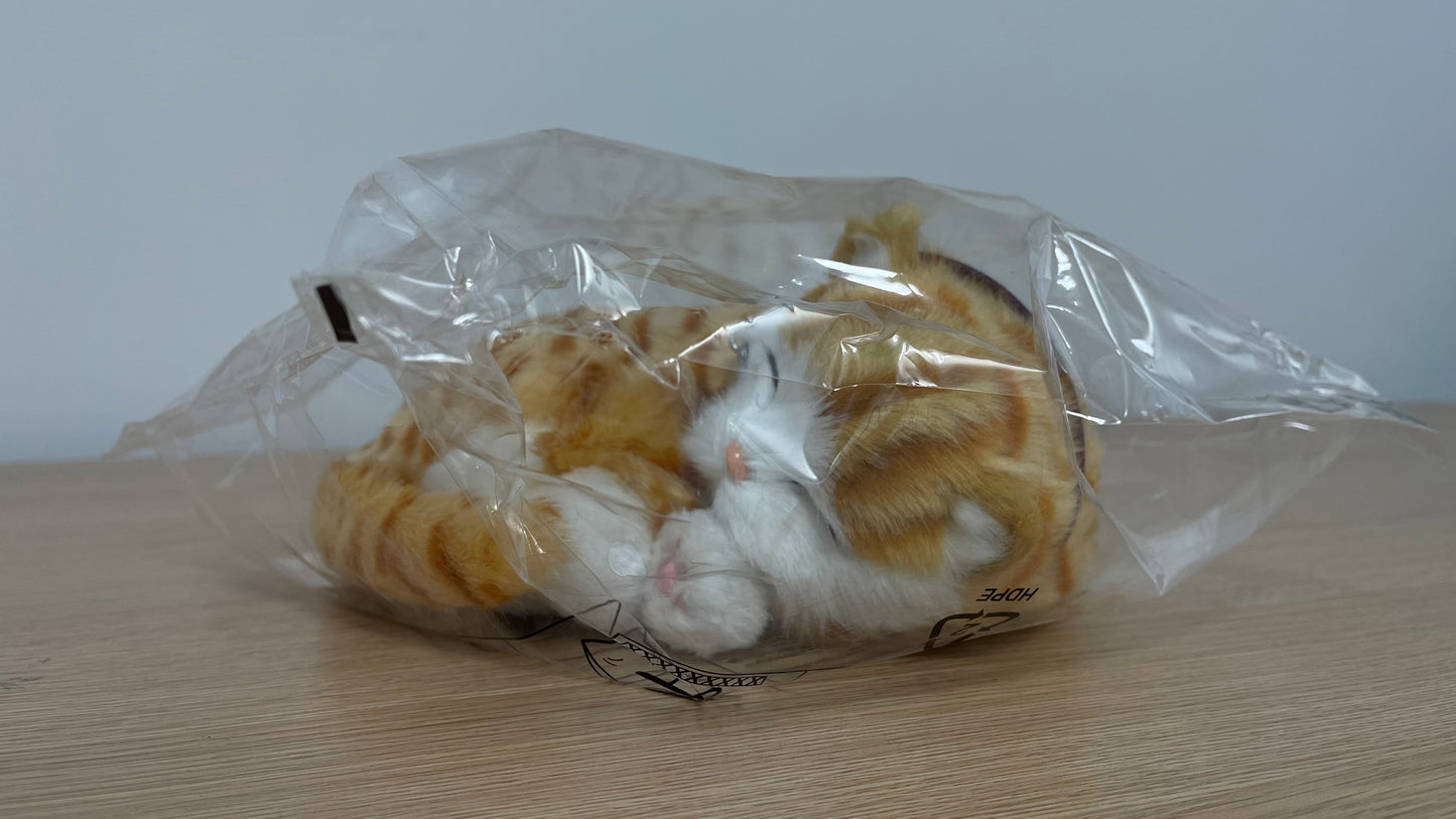 Precious Petzzz - Ginger Tabby Cat - Eden Mobility