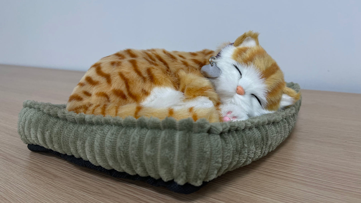 Precious Petzzz - Ginger Tabby Cat - Eden Mobility