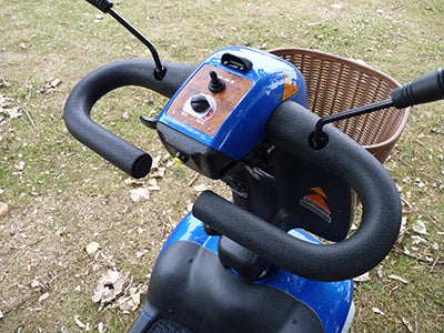 The Eden Roadmaster - Eden Mobility