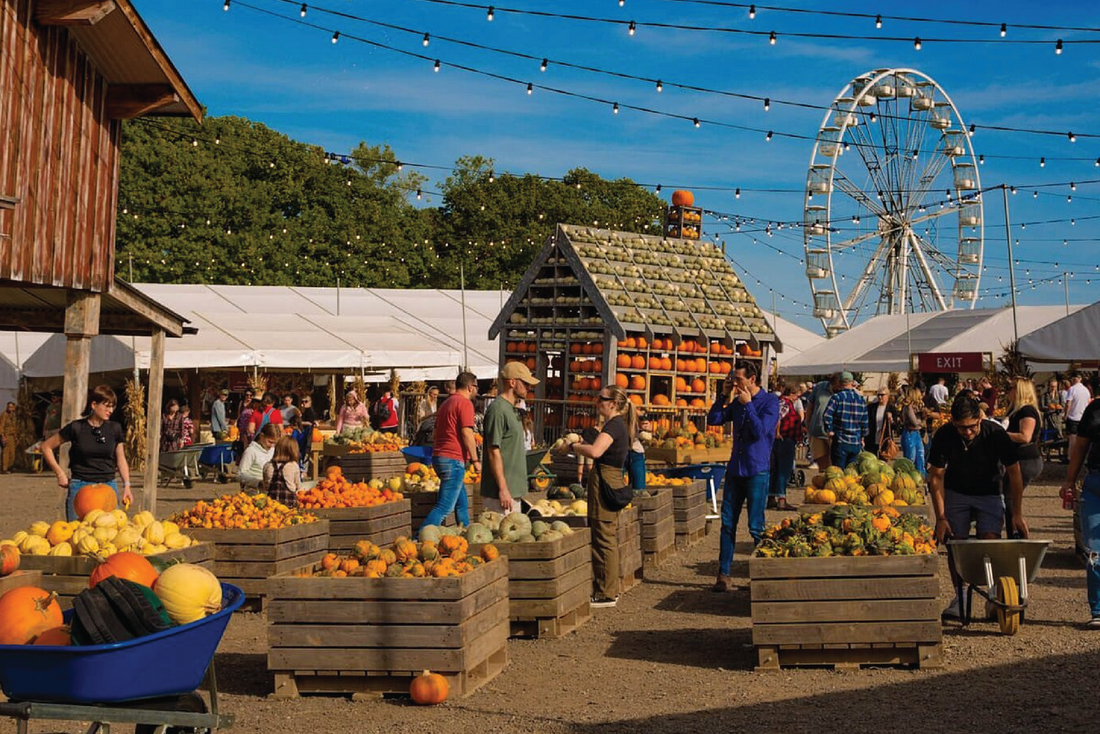 Frightfully Fun Days Out: Accessible Halloween Events Near You
