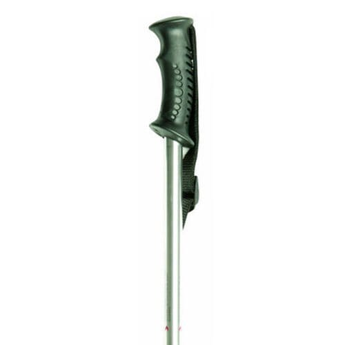 Trad Hiking Walk Pole White - Eden Mobility