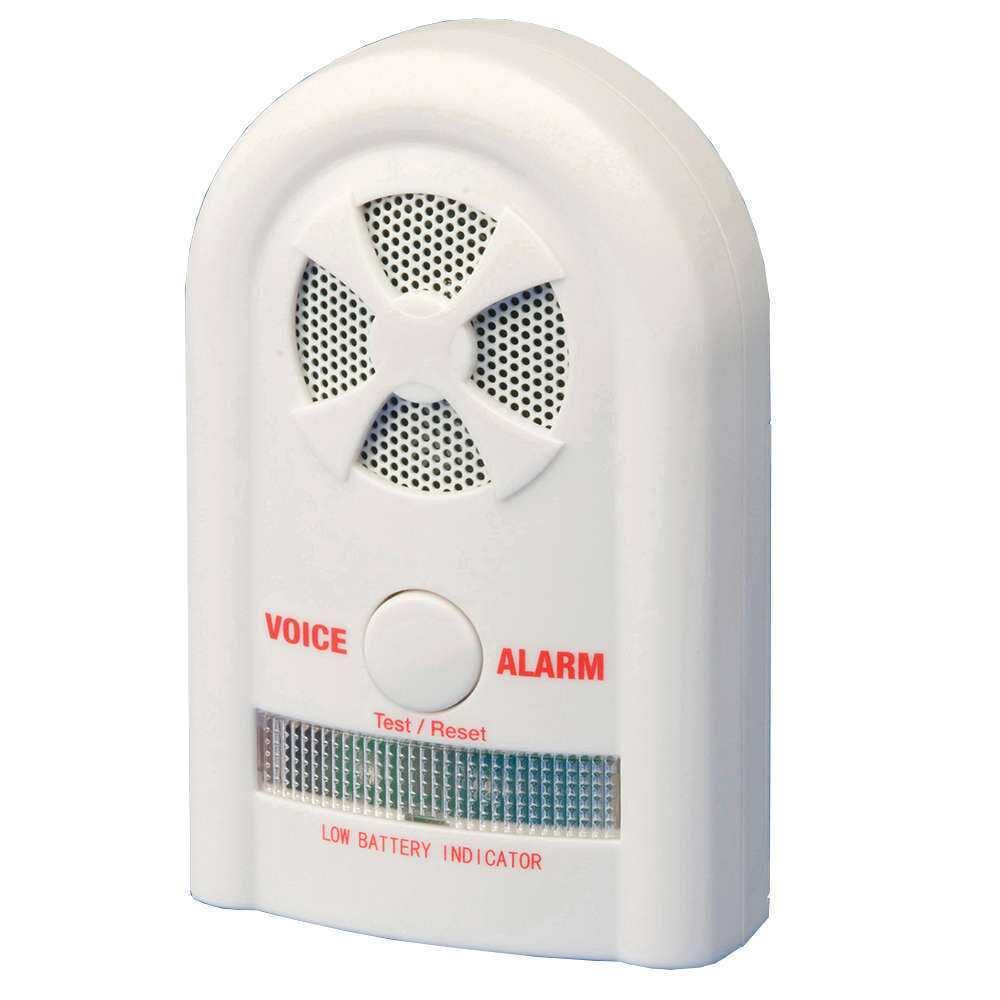 Voice Alarm Monitor - Ctm3 - Eden Mobility