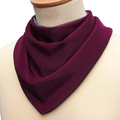 Care Designs Neckerchief Bib - Burgundy - Eden Mobility