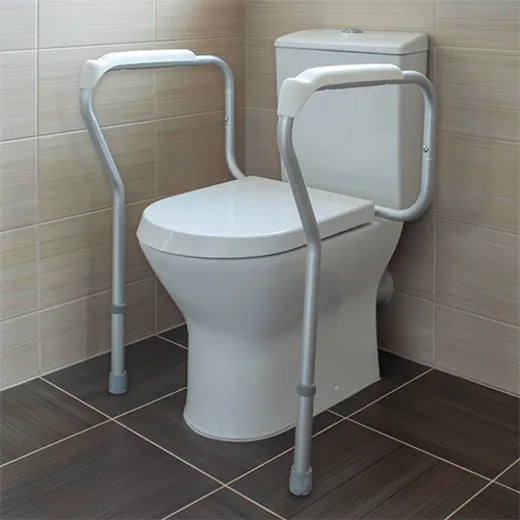 Toilet Surround Rail Safety Frame - Eden Mobility