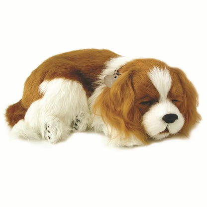 Precious Petzzz King Charles Spaniel - Eden Mobility