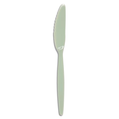 Antibacterial Plastic Knife - Eden Mobility