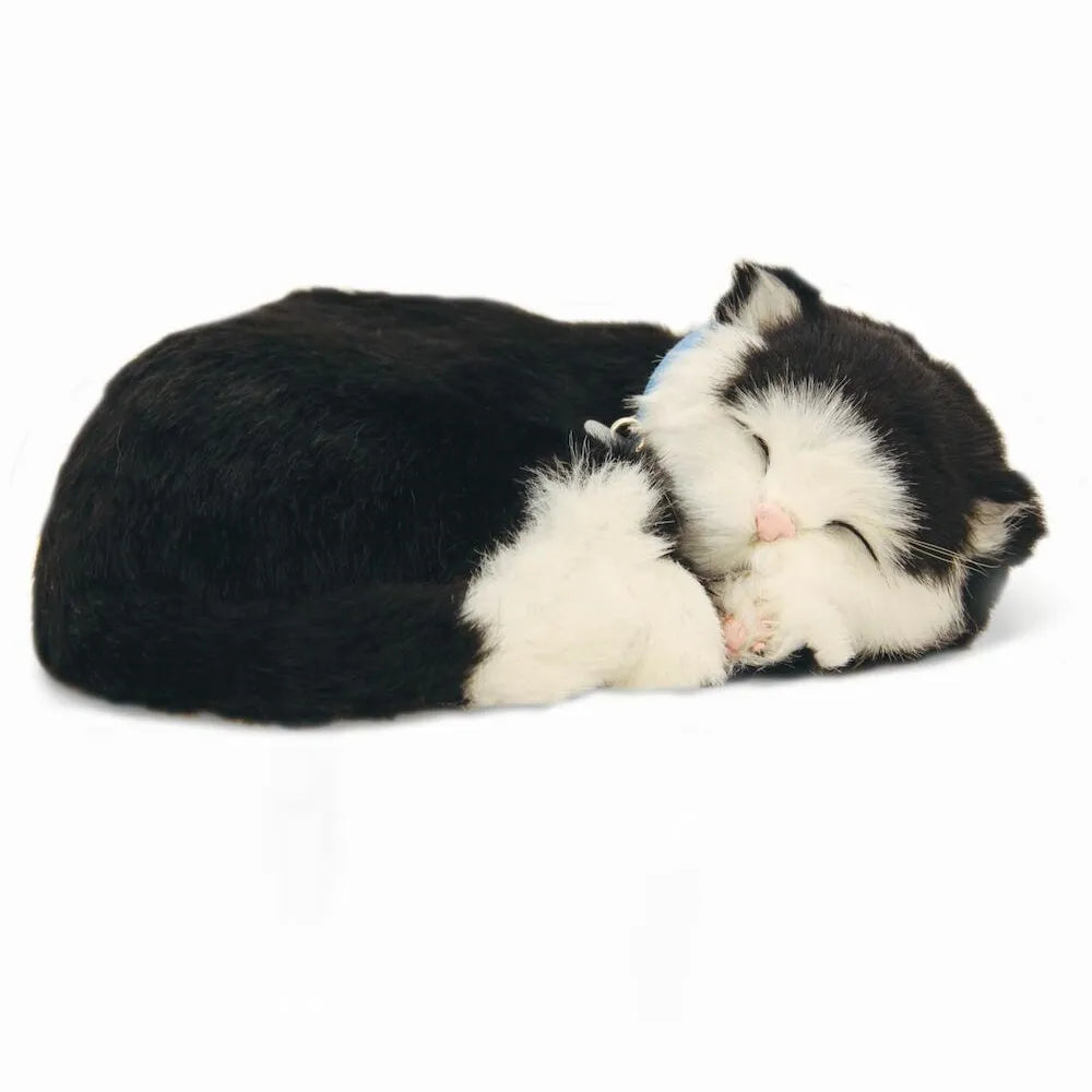 Precious Petzzz - Black & White Cat - Eden Mobility