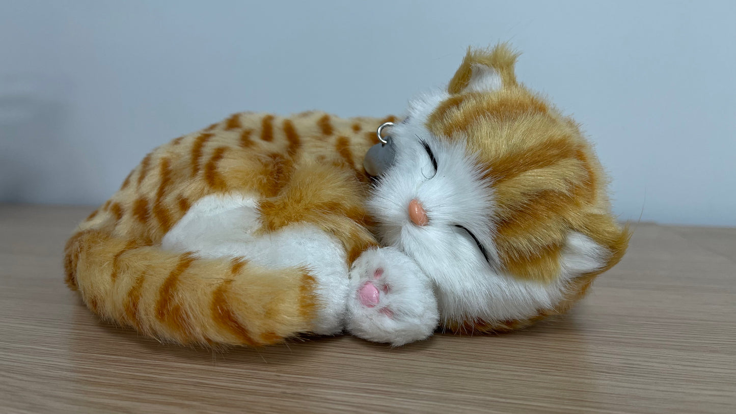 Precious Petzzz - Ginger Tabby Cat