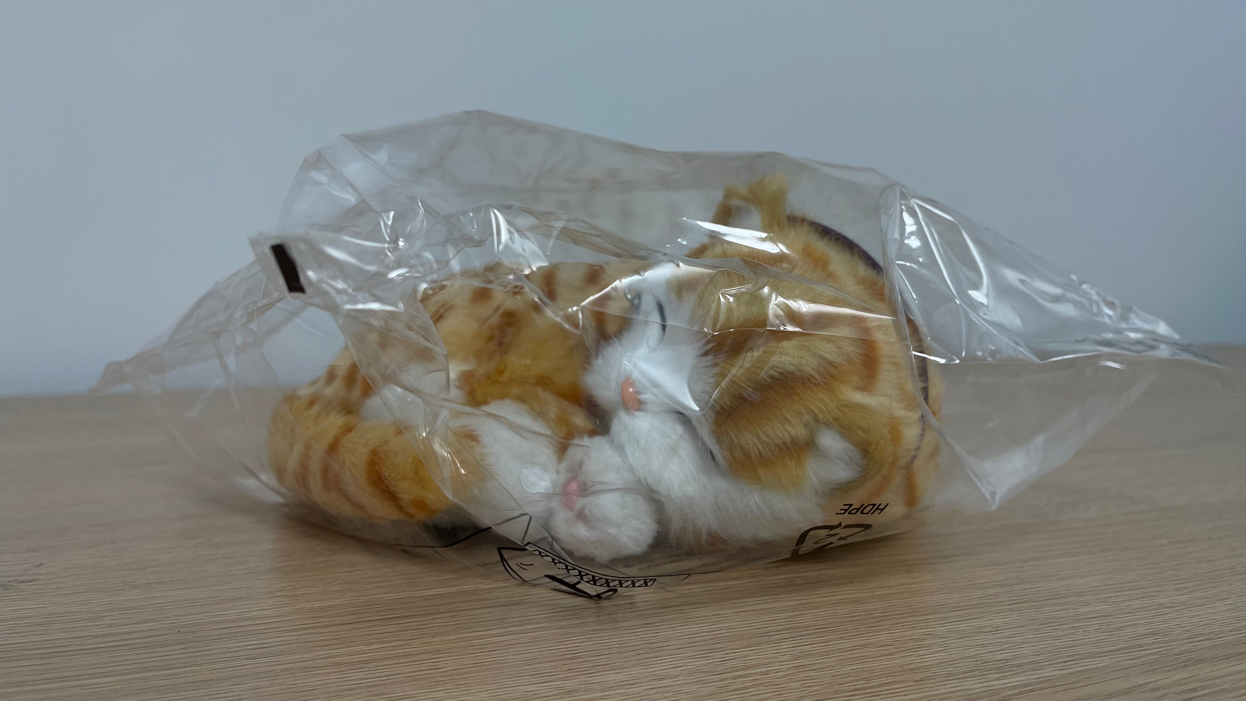 Precious Petzzz - Ginger Tabby Cat - Eden Mobility