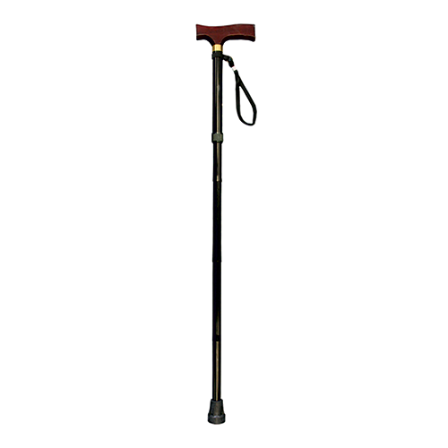 Walking Stick - Eden Mobility